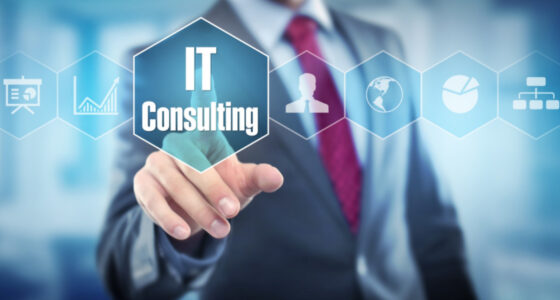 IT-Consulting